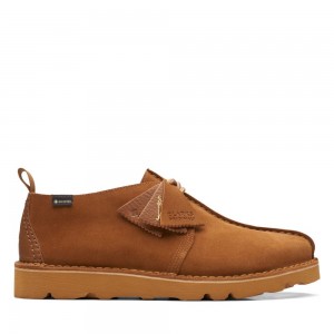 Pánské Originals Clarks Desert Trek GORE-TEX Hnědé | CZ-049582