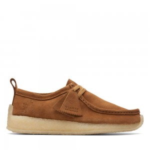 Pánské Tenisky Clarks Rossendale Hnědé | CZ-240635