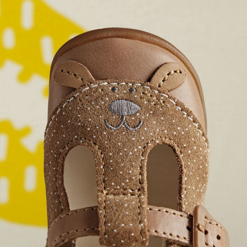 Chlapecké Obuv Clarks Roamer Cub Toddler Hnědé | CZ-798413