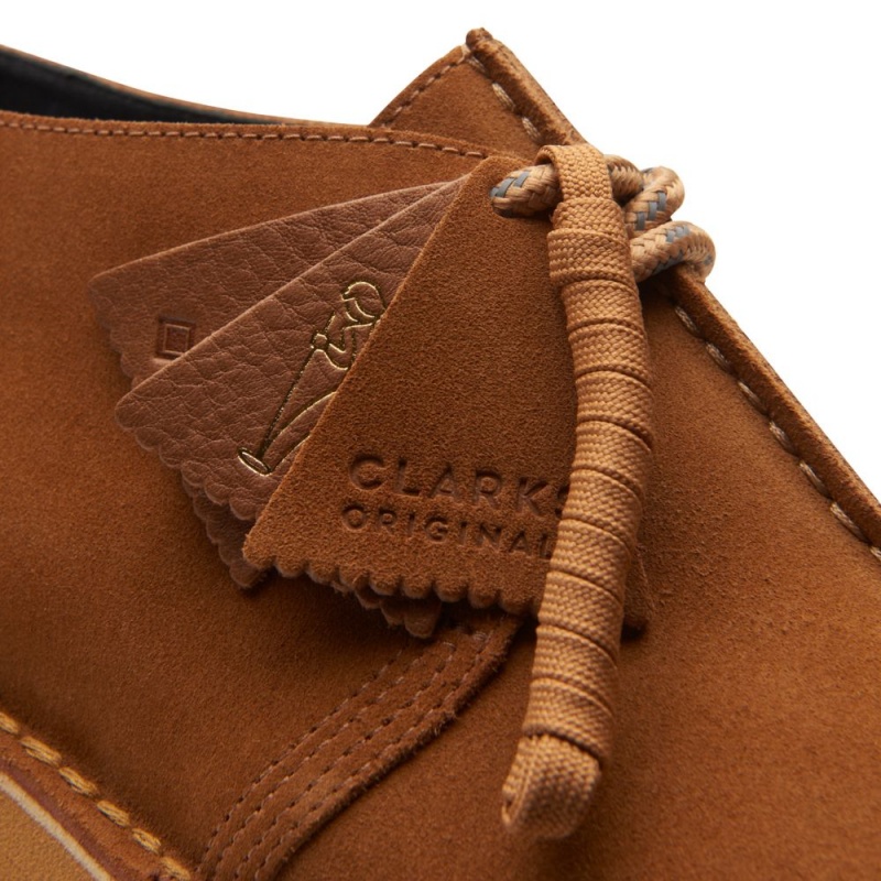 Pánské Originals Clarks Desert Trek GORE-TEX Hnědé | CZ-049582